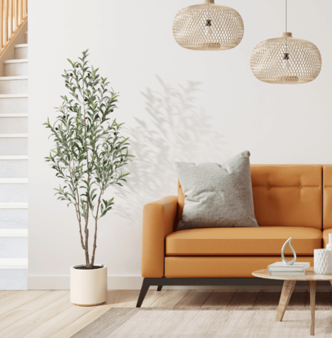 Simple Style Olive Tree