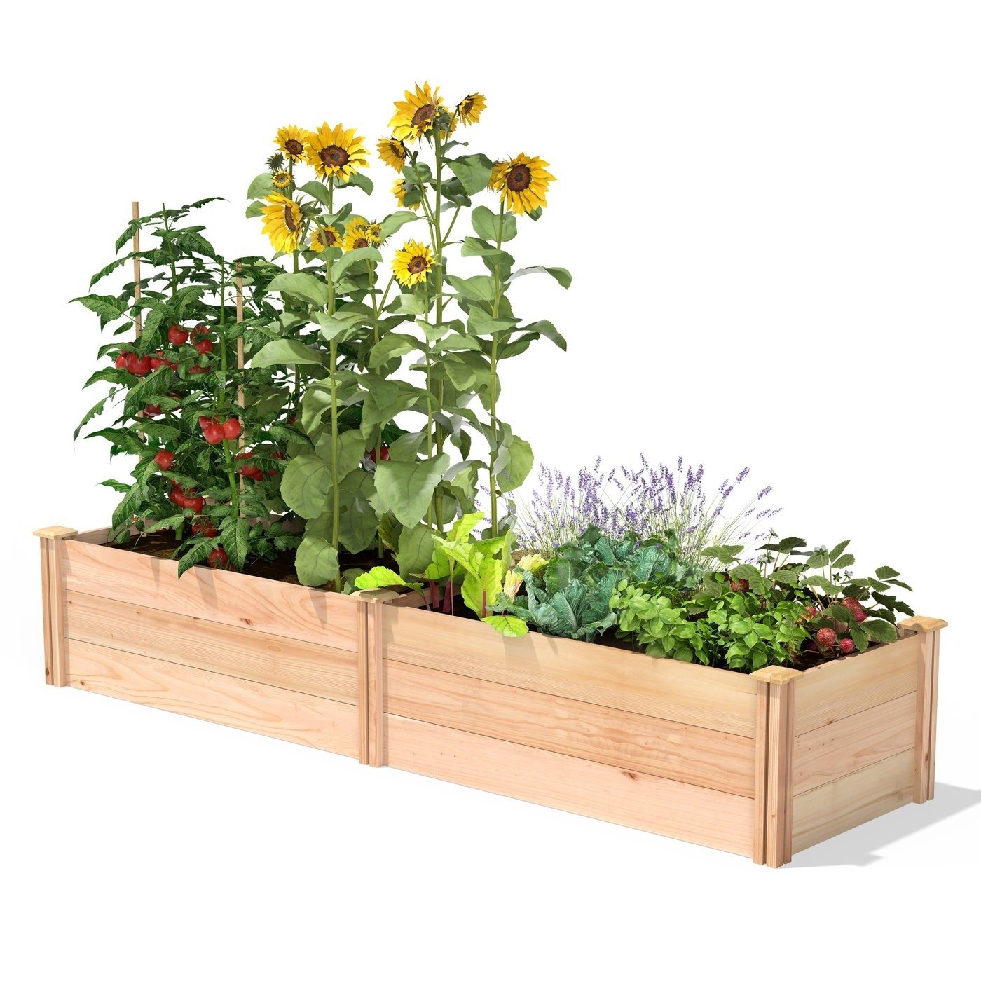2 ft x 8 ft Tall Cedar Wood Raised Garden Bed - Made in USA