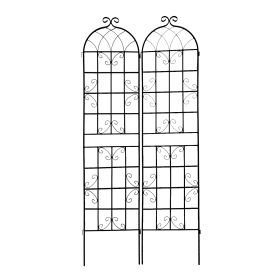 2 Pack Metal Garden Trellis Rustproof Trellis For Climbing Plants