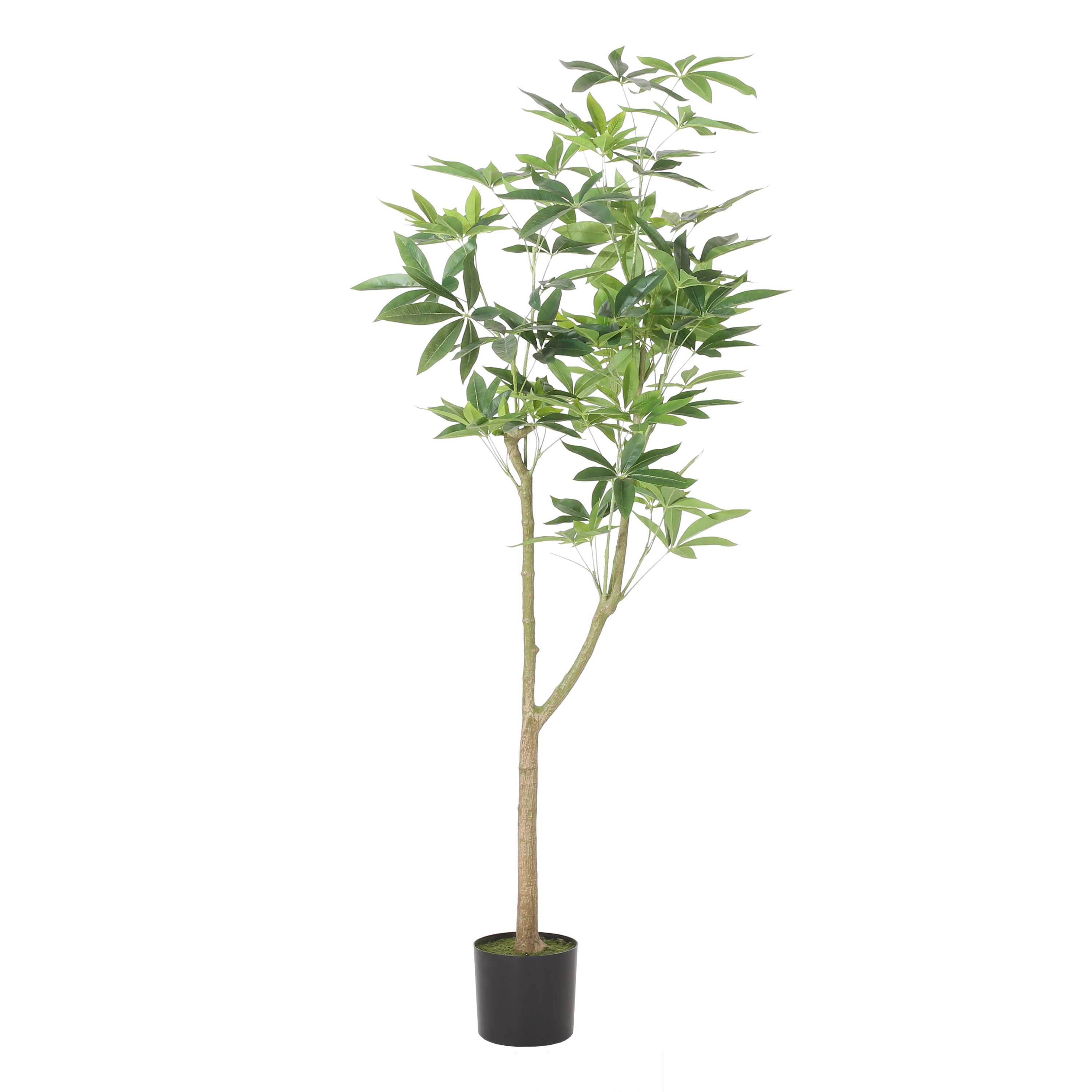 180CM ARTIFICIAL LARGE FRUIT PACHILA